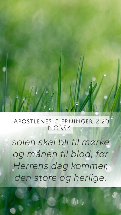 Apostlenes gjerninger 2:20 NORSK Bible Verse Image
