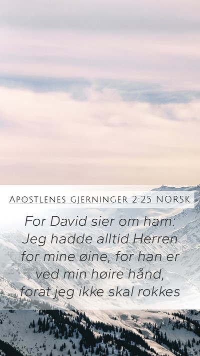 Apostlenes gjerninger 2:25 NORSK Bible Verse Image