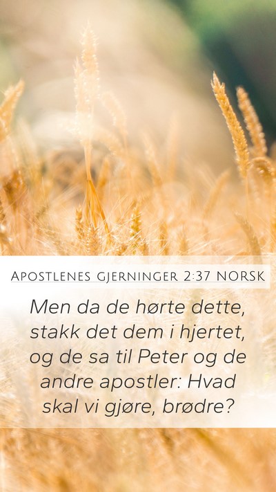 Apostlenes gjerninger 2:37 NORSK Bible Verse Image