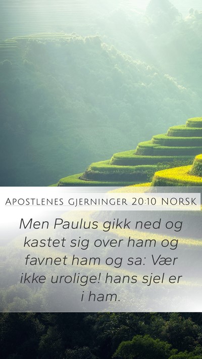 Apostlenes gjerninger 20:10 NORSK Bible Verse Image