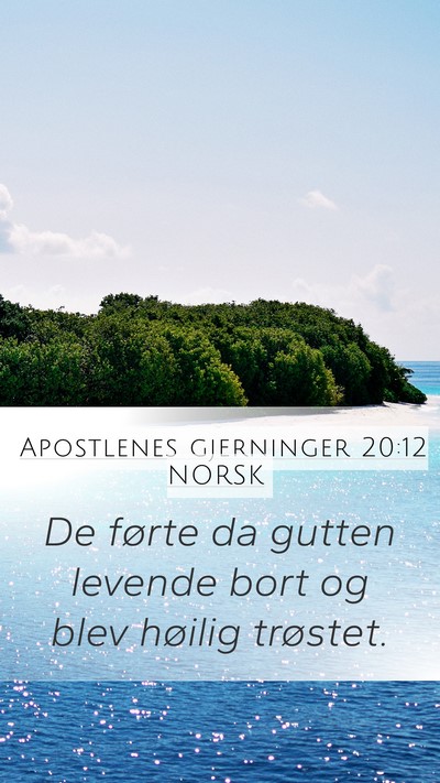 Apostlenes gjerninger 20:12 NORSK Mobile Phone Wallpaper - De førte da gutten levende bort og blev høilig - Mobile Bible Verse Wallpaper