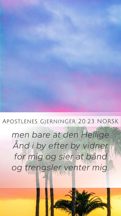 Apostlenes gjerninger 20:23 NORSK Bible Verse Image