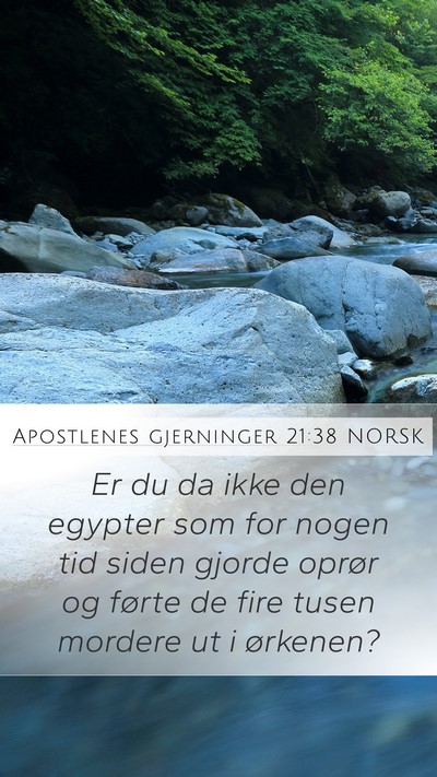 Apostlenes gjerninger 21:38 NORSK Bible Verse Image