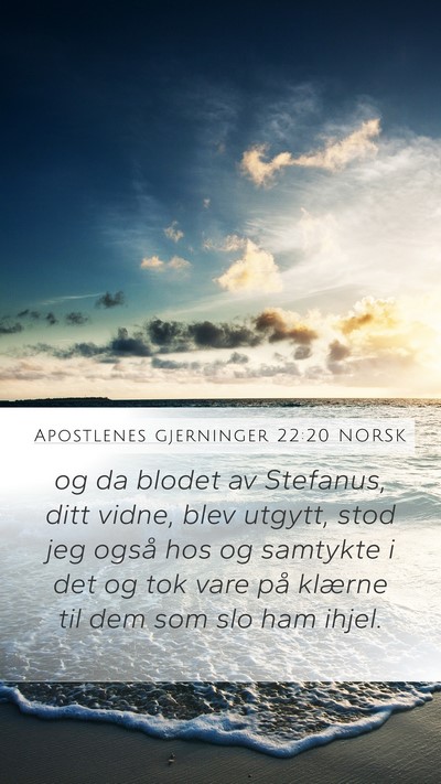 Apostlenes gjerninger 22:20 NORSK Bible Verse Image