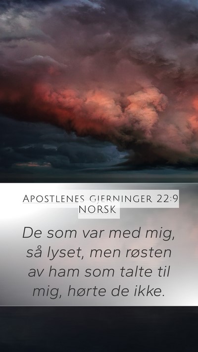 Apostlenes gjerninger 22:9 NORSK Bible Verse Image