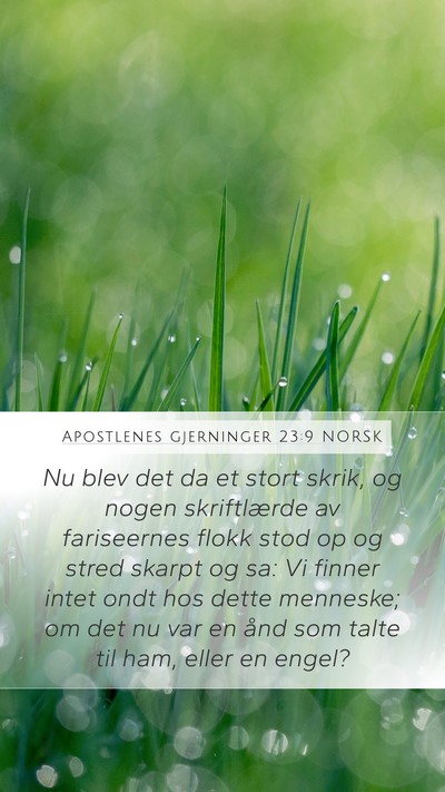 Apostlenes gjerninger 23:9 NORSK Bible Verse Image