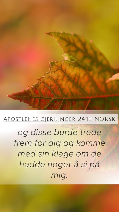 Apostlenes gjerninger 24:19 NORSK Mobile Phone Wallpaper - og disse burde trede frem for dig og komme med - Mobile Bible Verse Wallpaper