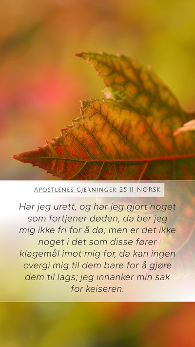 Apostlenes gjerninger 25:11 NORSK Bible Verse Image