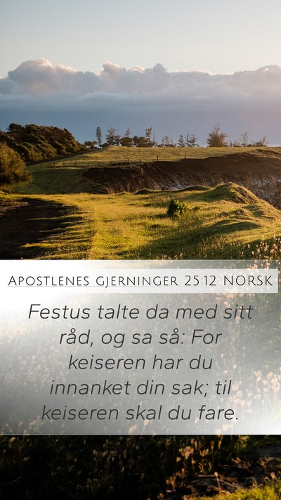 Apostlenes gjerninger 25:12 NORSK Bible Verse Image