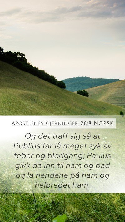 Apostlenes gjerninger 28:8 NORSK Bible Verse Image