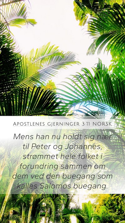 Apostlenes gjerninger 3:11 NORSK Bible Verse Image