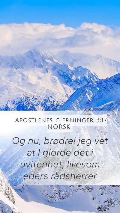 Apostlenes gjerninger 3:17 NORSK Bible Verse Image