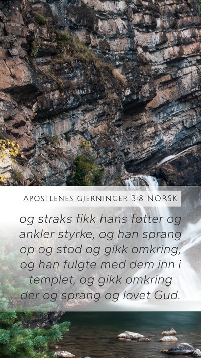 Apostlenes gjerninger 3:8 NORSK Bible Verse Image