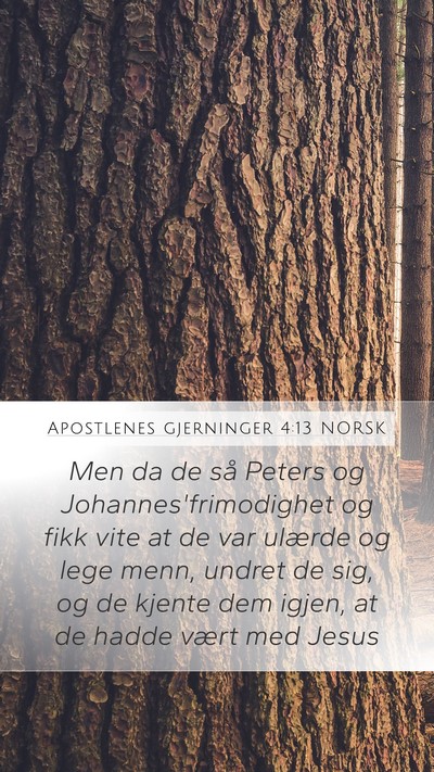 Apostlenes gjerninger 4:13 NORSK Bible Verse Image