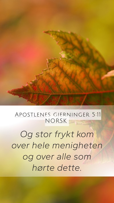 Apostlenes gjerninger 5:11 NORSK Mobile Phone Wallpaper - Og stor frykt kom over hele menigheten og over - Mobile Bible Verse Wallpaper