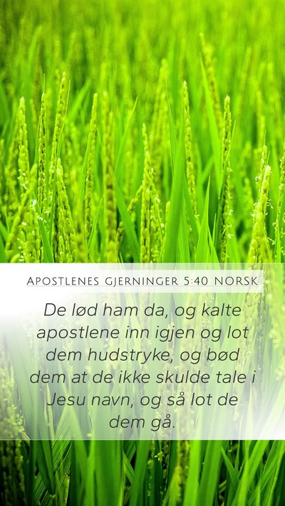 Apostlenes gjerninger 5:40 NORSK Bible Verse Image