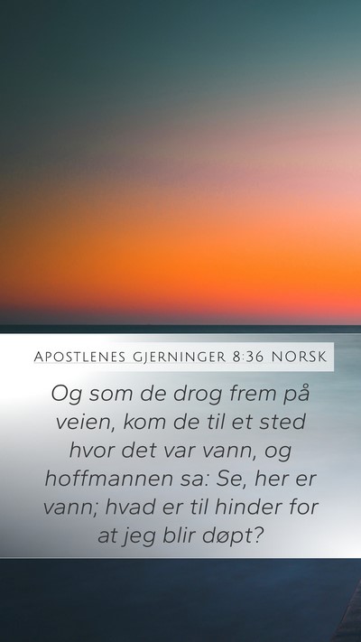 Apostlenes gjerninger 8:36 NORSK Bible Verse Image