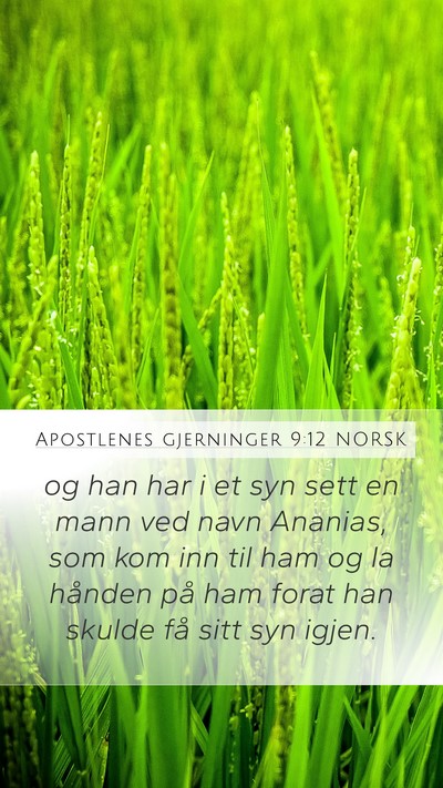 Apostlenes gjerninger 9:12 NORSK Mobile Phone Wallpaper - og han har i et syn sett en mann ved navn - Mobile Bible Verse Wallpaper