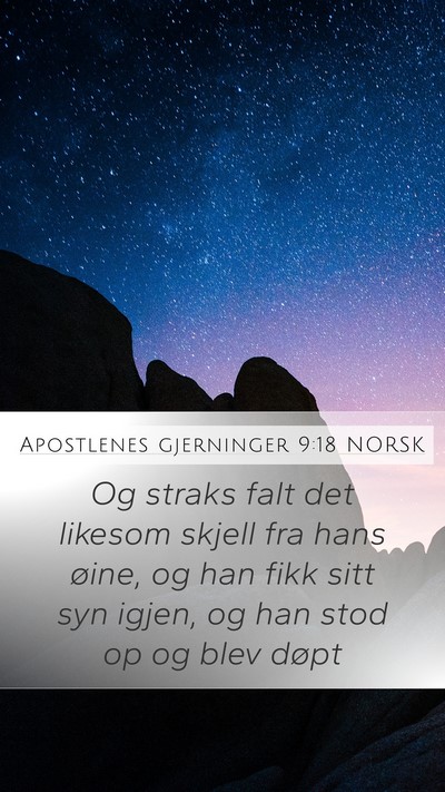Apostlenes gjerninger 9:18 NORSK Bible Verse Image