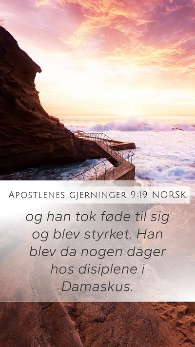 Apostlenes gjerninger 9:19 NORSK Bible Verse Image