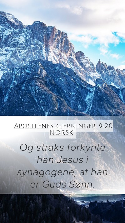 Apostlenes gjerninger 9:20 NORSK Bible Verse Image