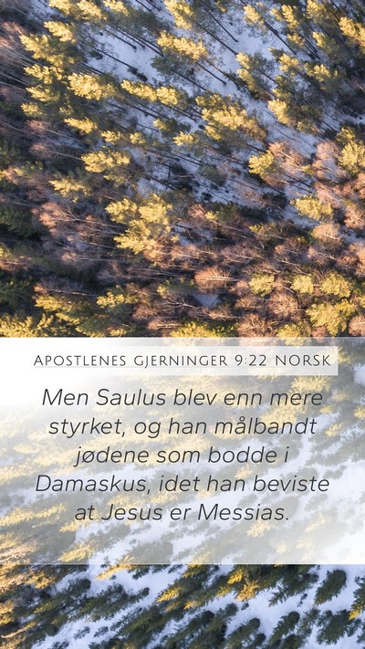 Apostlenes gjerninger 9:22 NORSK Bible Verse Image