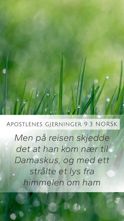 Apostlenes gjerninger 9:3 NORSK Bible Verse Image