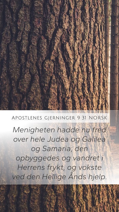Apostlenes gjerninger 9:31 NORSK Bible Verse Image