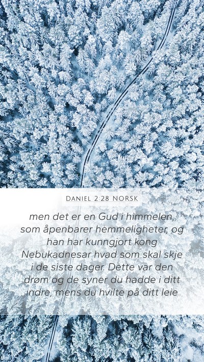 Daniel 2:28 NORSK Bible Verse Image