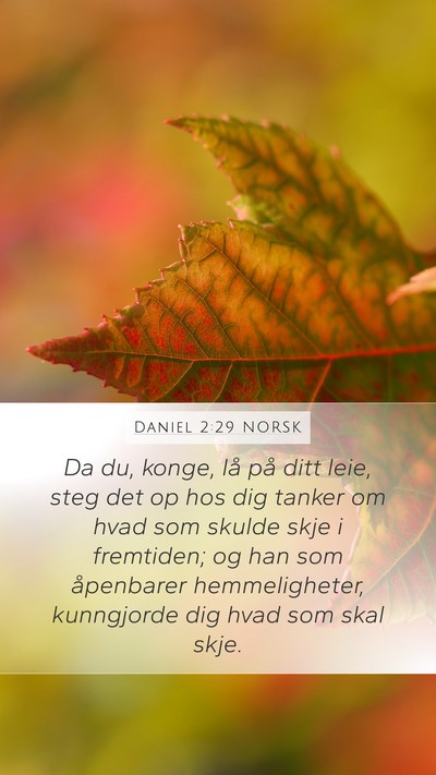 Daniel 2:29 NORSK Bible Verse Image