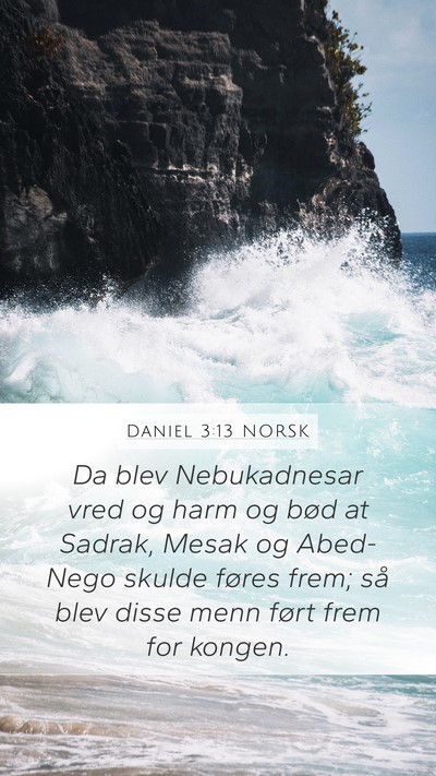 Daniel 3:13 NORSK Bible Verse Image