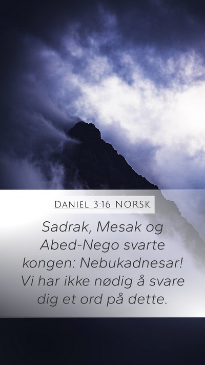 Daniel 3:16 NORSK Bible Verse Image