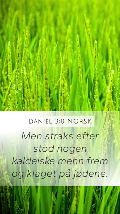 Daniel 3:8 NORSK Bible Verse Image