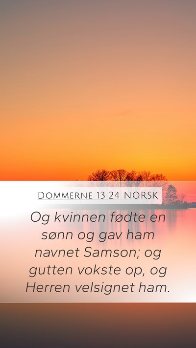 Dommerne 13:24 NORSK Bible Verse Image