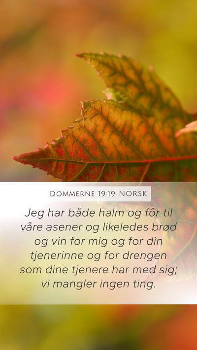 Dommerne 19:19 NORSK Bible Verse Image