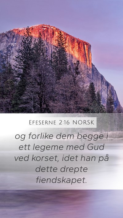 Efeserne 2:16 NORSK Bible Verse Image