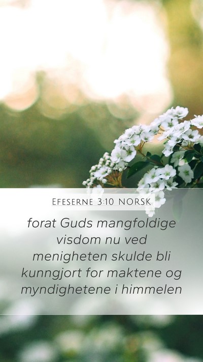 Efeserne 3:10 NORSK Bible Verse Image