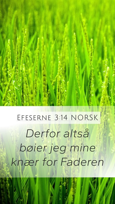 Efeserne 3:14 NORSK Bible Verse Image
