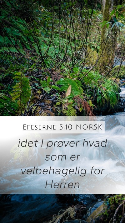 Efeserne 5:10 NORSK Bible Verse Image