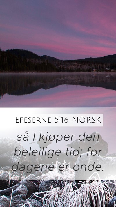 Efeserne 5:16 NORSK Bible Verse Image