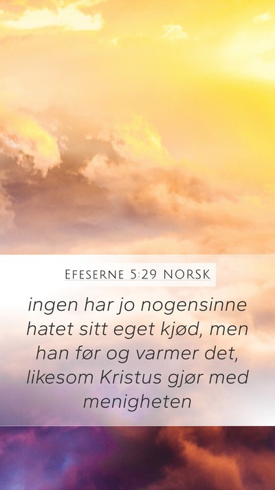 Efeserne 5:29 NORSK Mobile Phone Wallpaper - ingen har jo nogensinne hatet sitt eget kjød, - Mobile Bible Verse Wallpaper