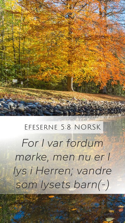 Efeserne 5:8 NORSK Bible Verse Image