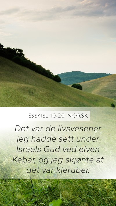 Esekiel 10:20 NORSK Bible Verse Image