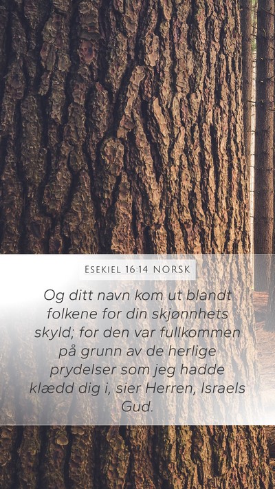 Esekiel 16:14 NORSK Bible Verse Image