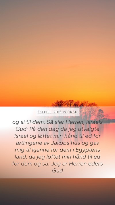 Esekiel 20:5 NORSK Bible Verse Image