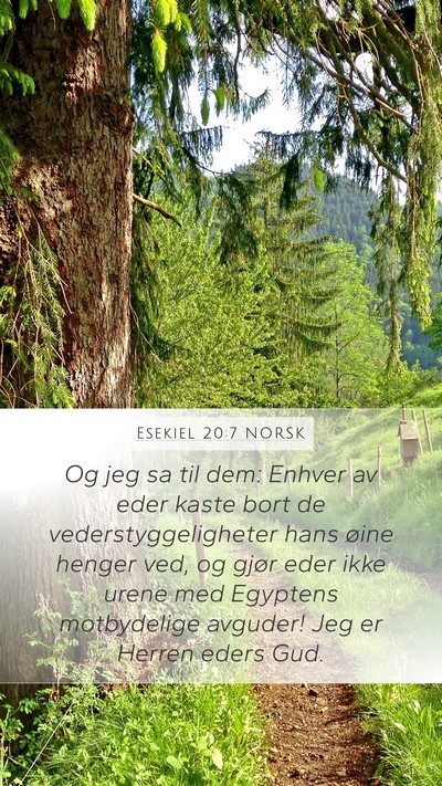 Esekiel 20:7 NORSK Bible Verse Image