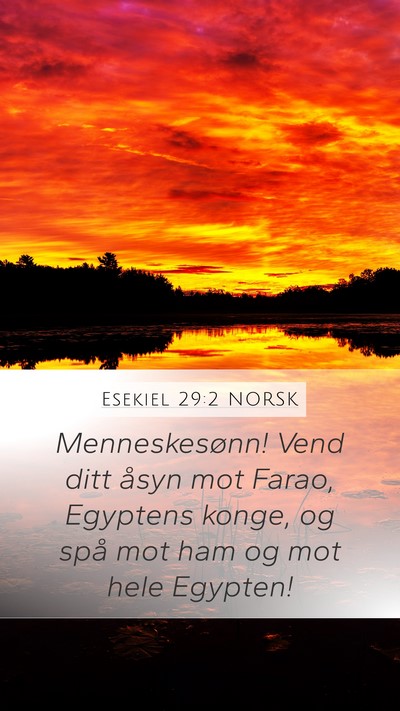 Esekiel 29:2 NORSK Bible Verse Image