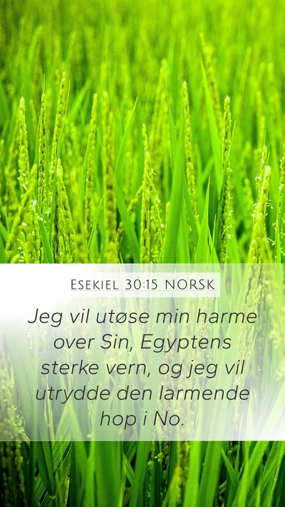 Esekiel 30:15 NORSK Bible Verse Image