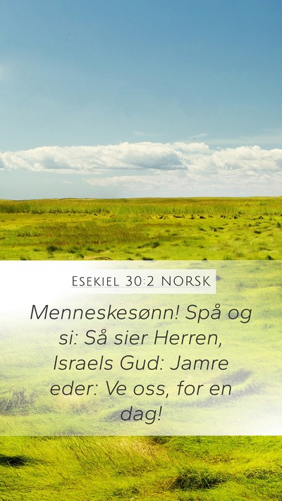 Esekiel 30:2 NORSK Bible Verse Image