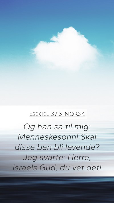 Esekiel 37:3 NORSK Bible Verse Image